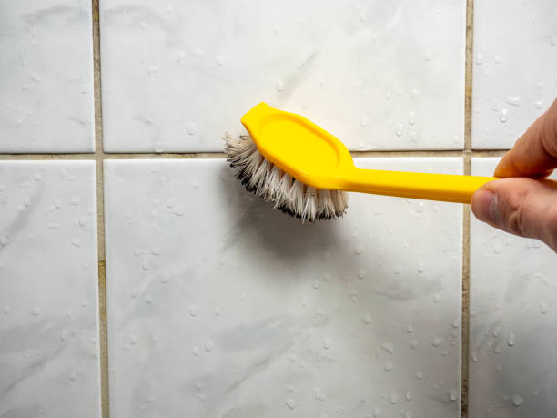 Best Insurance-Related Mold Remediation in Thomaston, NY
