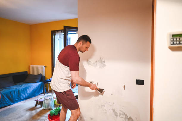 Best Localized Mold Remediation (e.g., coastal areas, humid climates) in Thomaston, NY